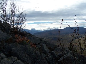 "Here comes the weather..."