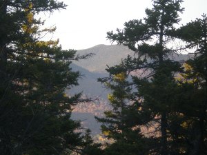 The "view" from the top