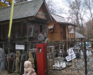 Hmm, nice lion. And, he's on sale!