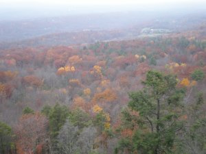 We biked up that road down there by the barn to get this view from the top