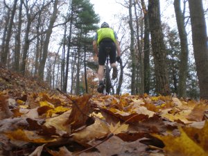 This is likely a frequent view Jane is stuck with