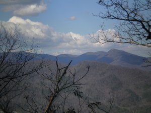 A view from the trail