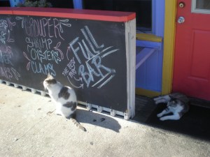 So many choices...which fish should we order today?