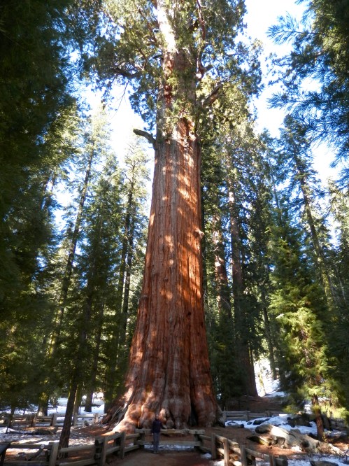 You can just about see me in the bottom of the photo