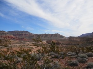 This view matches the educational plaque above