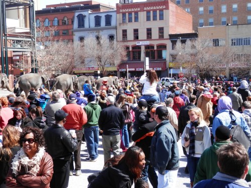 the elephants begin to leave and I realize that I CAN KEEP UP WITH THEM