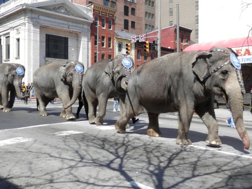 I Think they were Glad to be out in the sun! (I know I was)