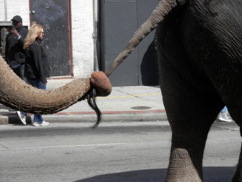 "hold hands when you cross the street"